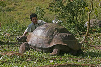 Juan and giant tortoise