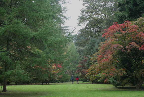 Westonbirt Arboretum 2009