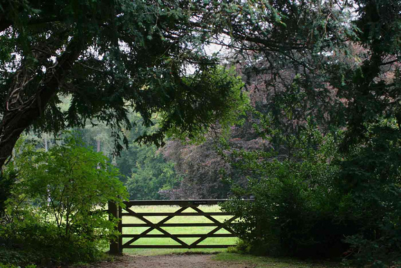 Westonbirt Arboretum 2009