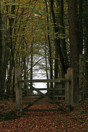 Gate to New Forest