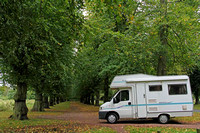 The Lime Tree Avenue Clumber Park